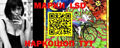 эйфоретик Владимир
