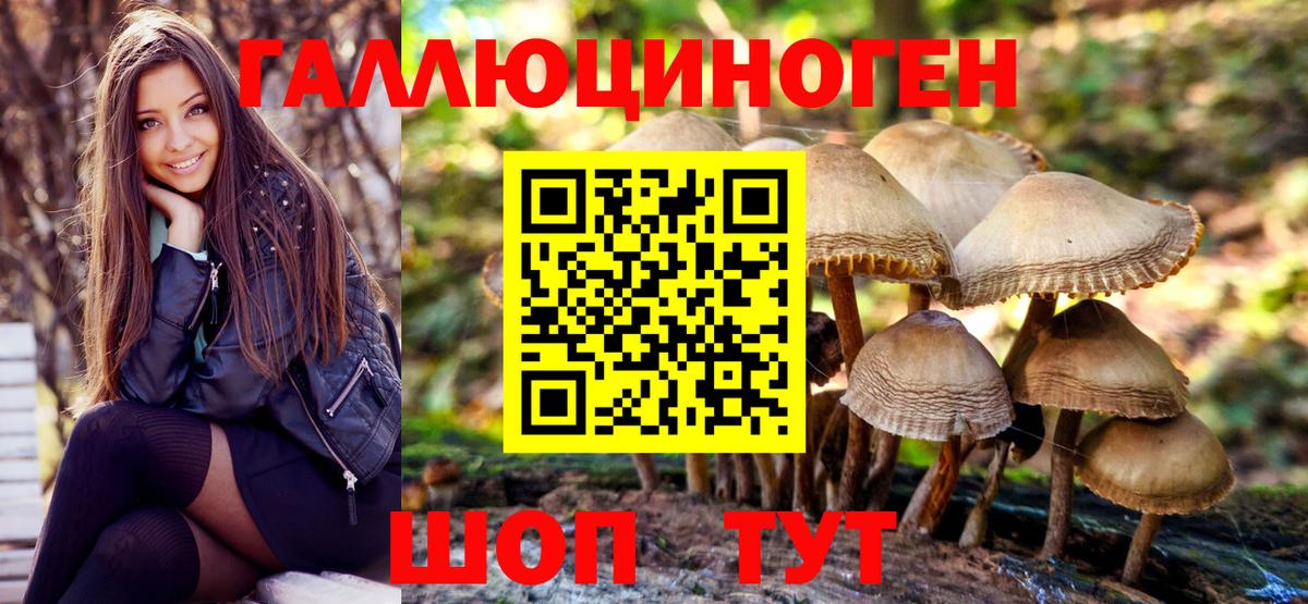 Галлюциногенные грибы Magic Shrooms Сокол