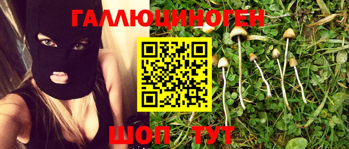 Псилоцибиновые грибы Magic Shrooms  закладки  Вход с VPN  Сокол  Галлюциногенные грибы ЛСД 